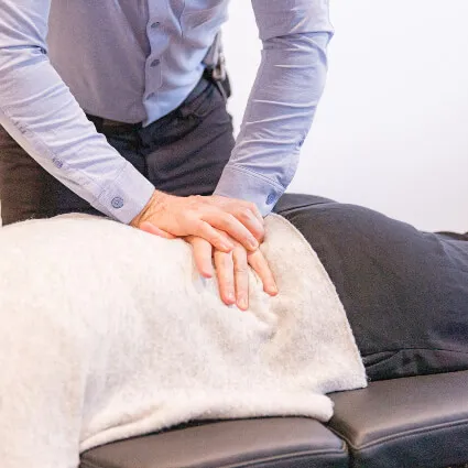 A chiropractor applying gentle lower-back pressure